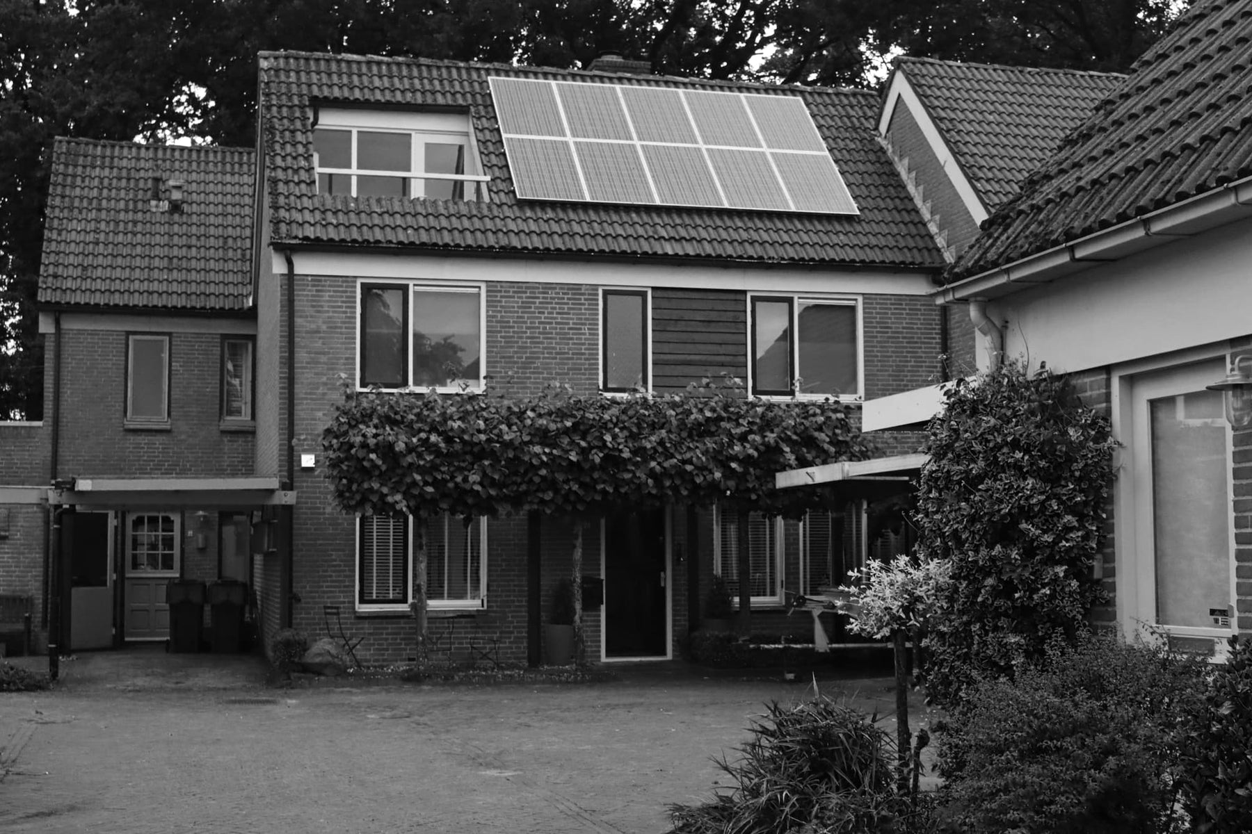 How Does Solar Work? A Beginners Guide to Solar Power