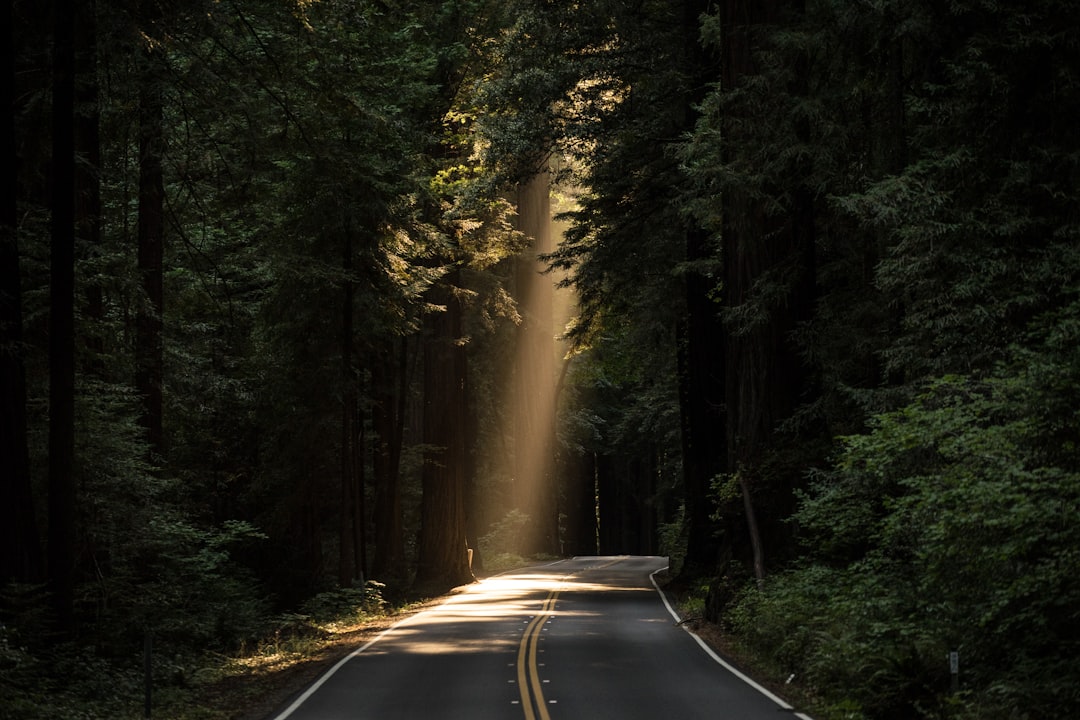 Solar Power Incentives and Rebates Guide for Off-Grid Living and Portable Power