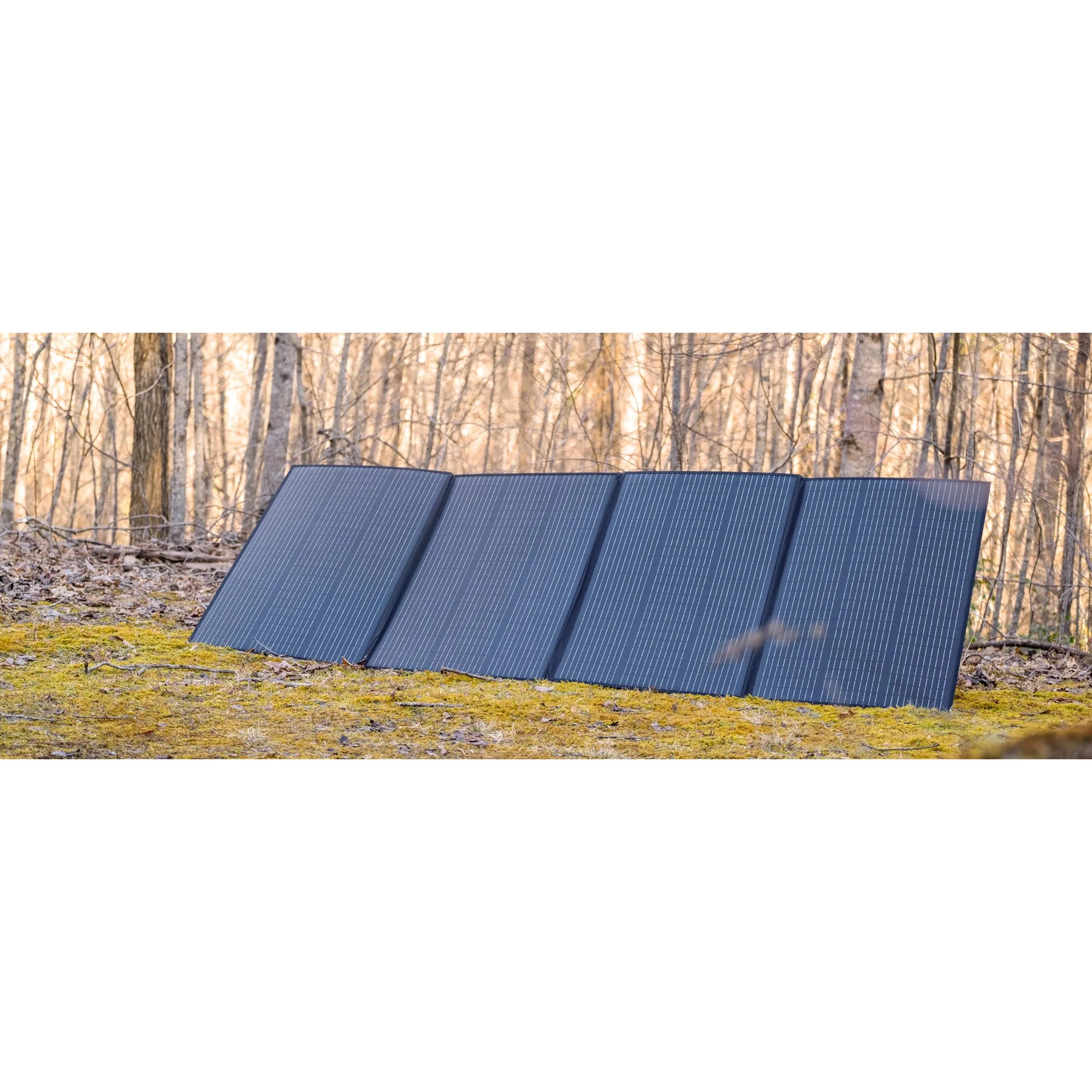 A bluetti solar panel is placed on moss-covered ground in a wooded area. Sparse trees with thin trunks encircle it, and the softly blurred background accentuates the panel's textured, ribbed surface and its impressive high conversion rate.