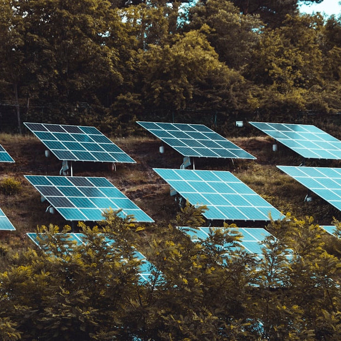 Exploring the Environmental Impact of Solar Power