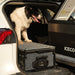 A black and white dog relaxes beside an ICECO Wholesale portable fridge in an open vehicle. Its tongue lolls out as sunlight highlights the clever galvanized sheet metal storage solution with the rear door open, showcasing the efficient setup.