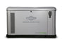 Briggs & Stratton PowerProtect+ 22kW Home Standby Generator - front view