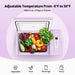 BougeRV 12V 23 Quart Colorful Purple Portable Fridge Adjustable Temperature