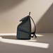An EcoFlow RIVER 2 Travel Bag in black is displayed in profile against a beige background, with diagonal sunlight casting shadows.