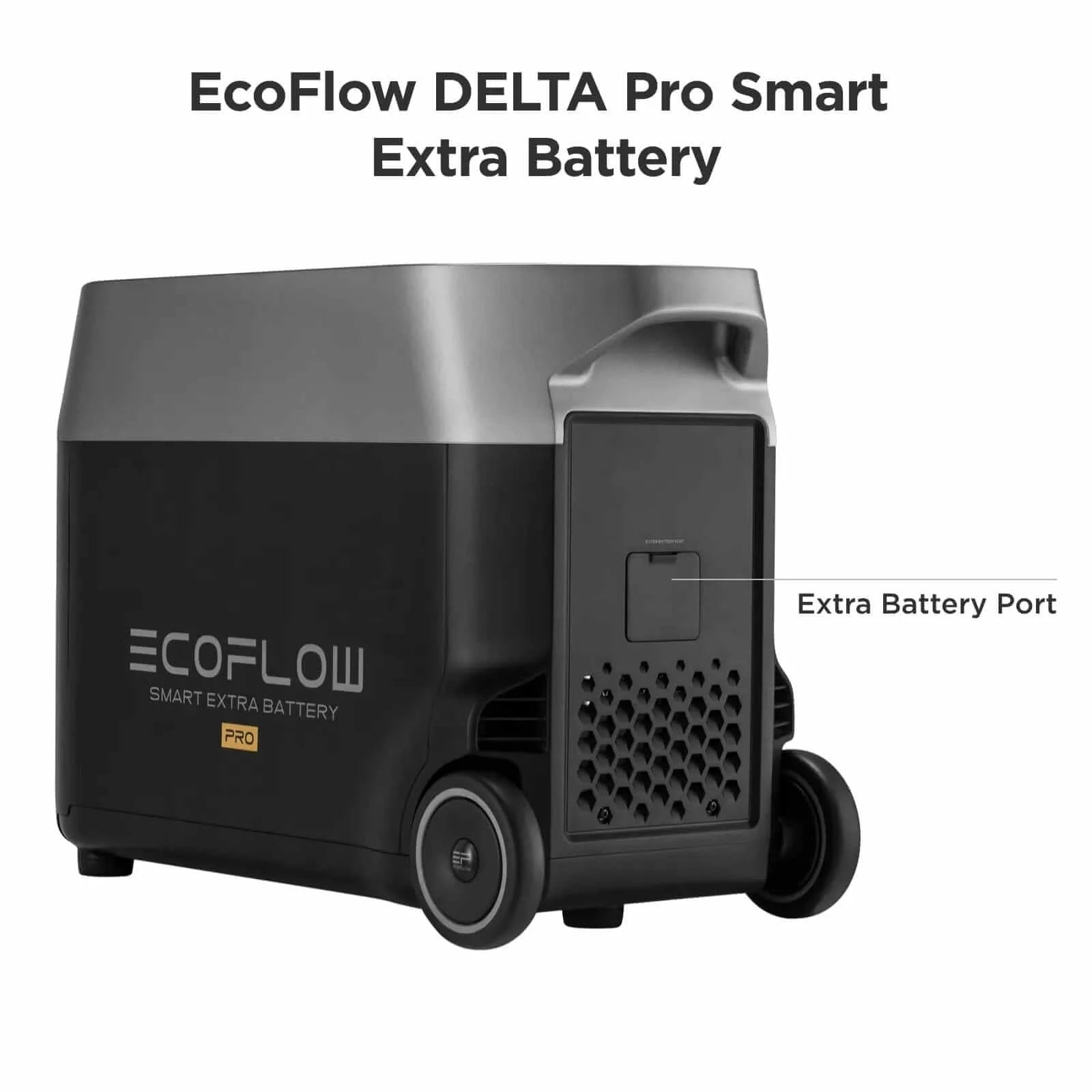 EcoFlow Power Station EcoFlow DELTA Pro Smart Extra Battery