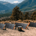 Jackery 200W charging ports and outlets close up detail