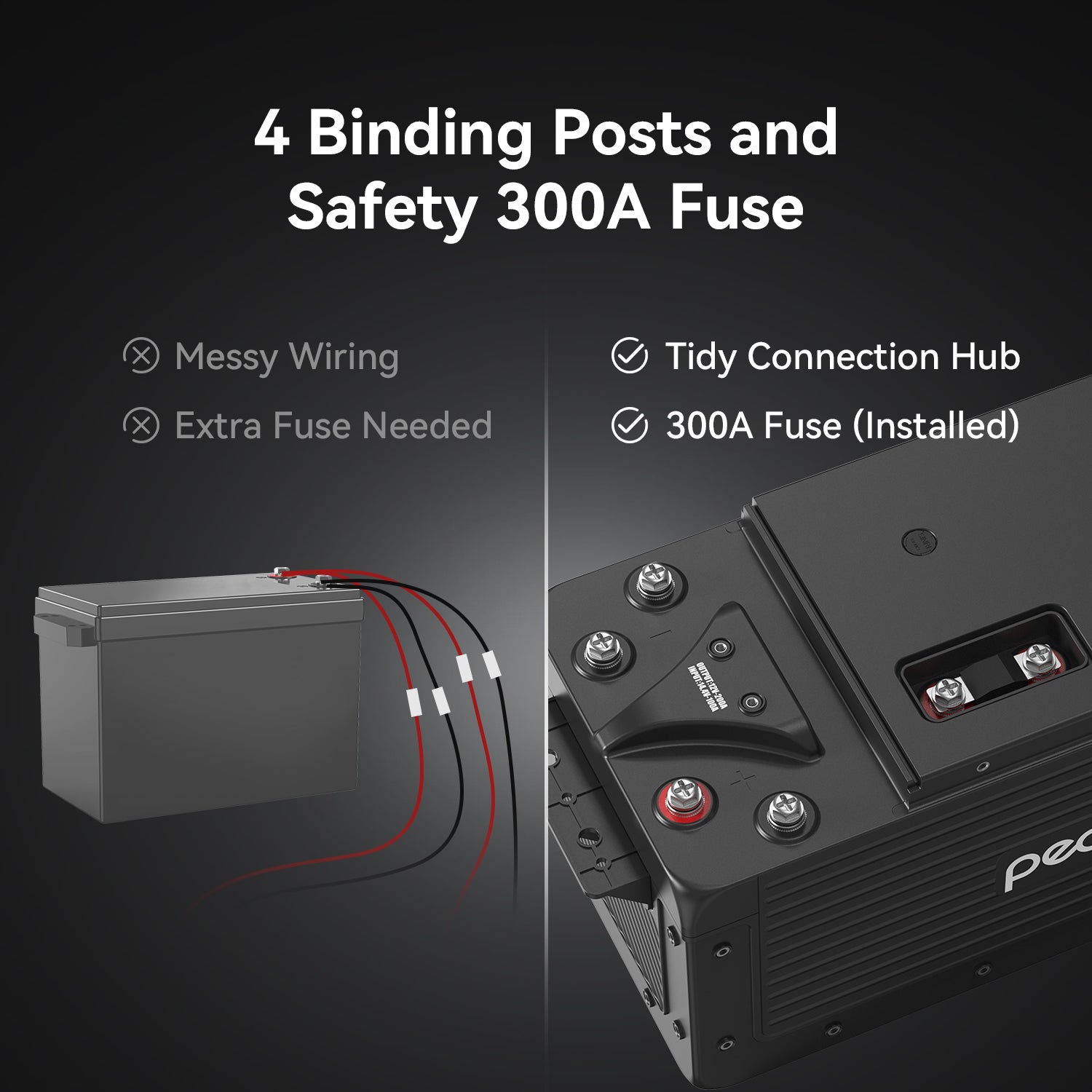 Pecron WB12200 12V LiFePO4 battery - closeup