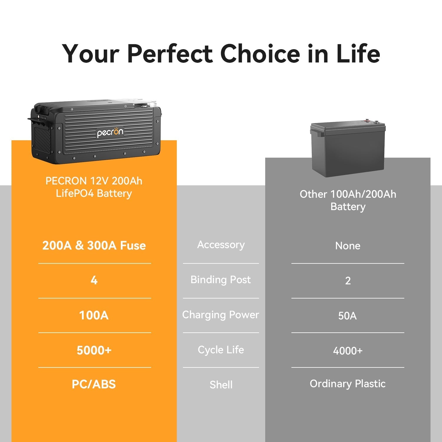 Pecron WB12200 12V LiFePO4 battery - detail