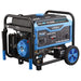 Pulsar Dual-Fuel Generator Pulsar PG12000B 12,000W Dual Fuel Portable Generator with Electric Start and Switch & Go Technology, CARB Approved